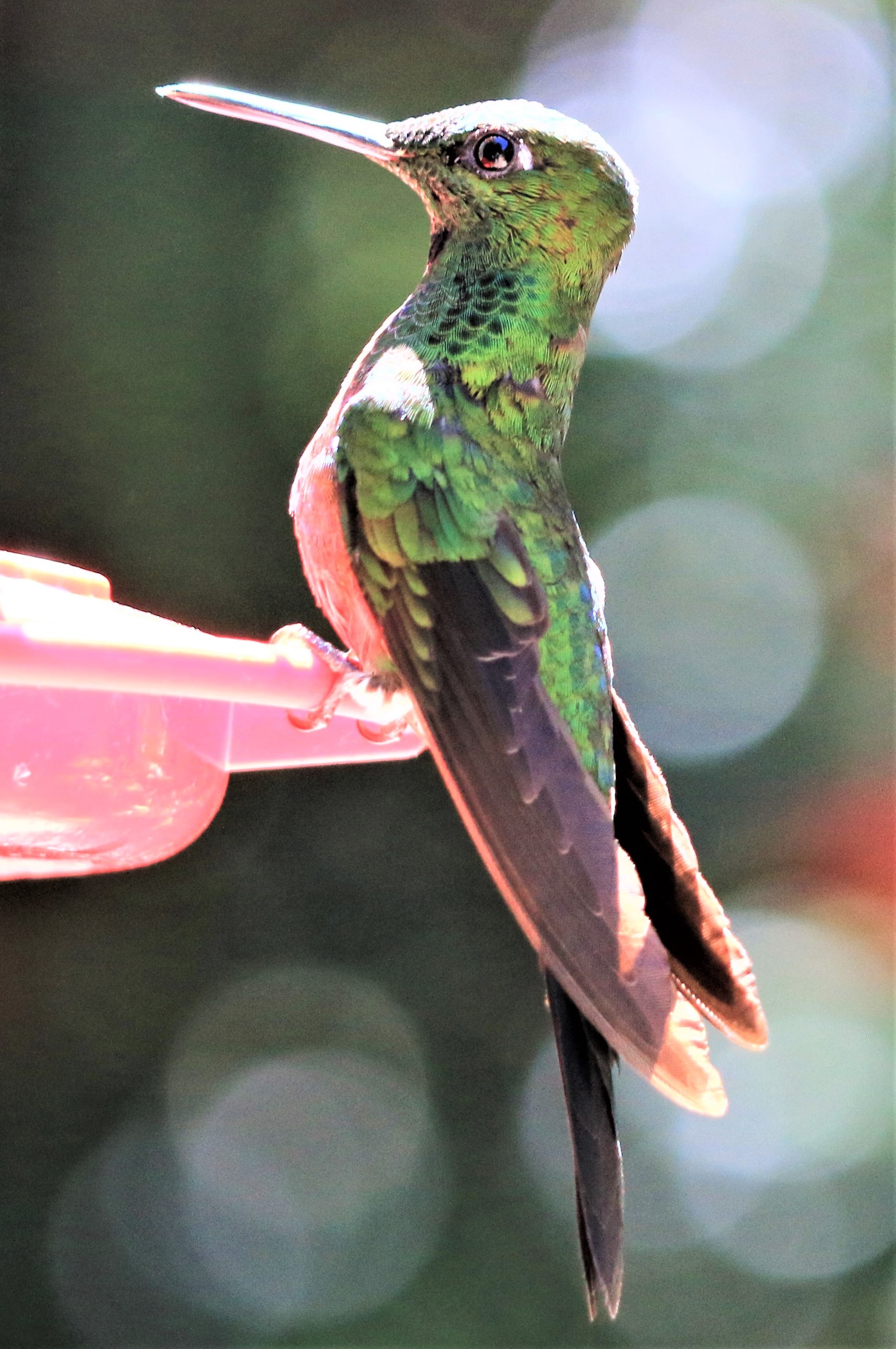 Costa Rica